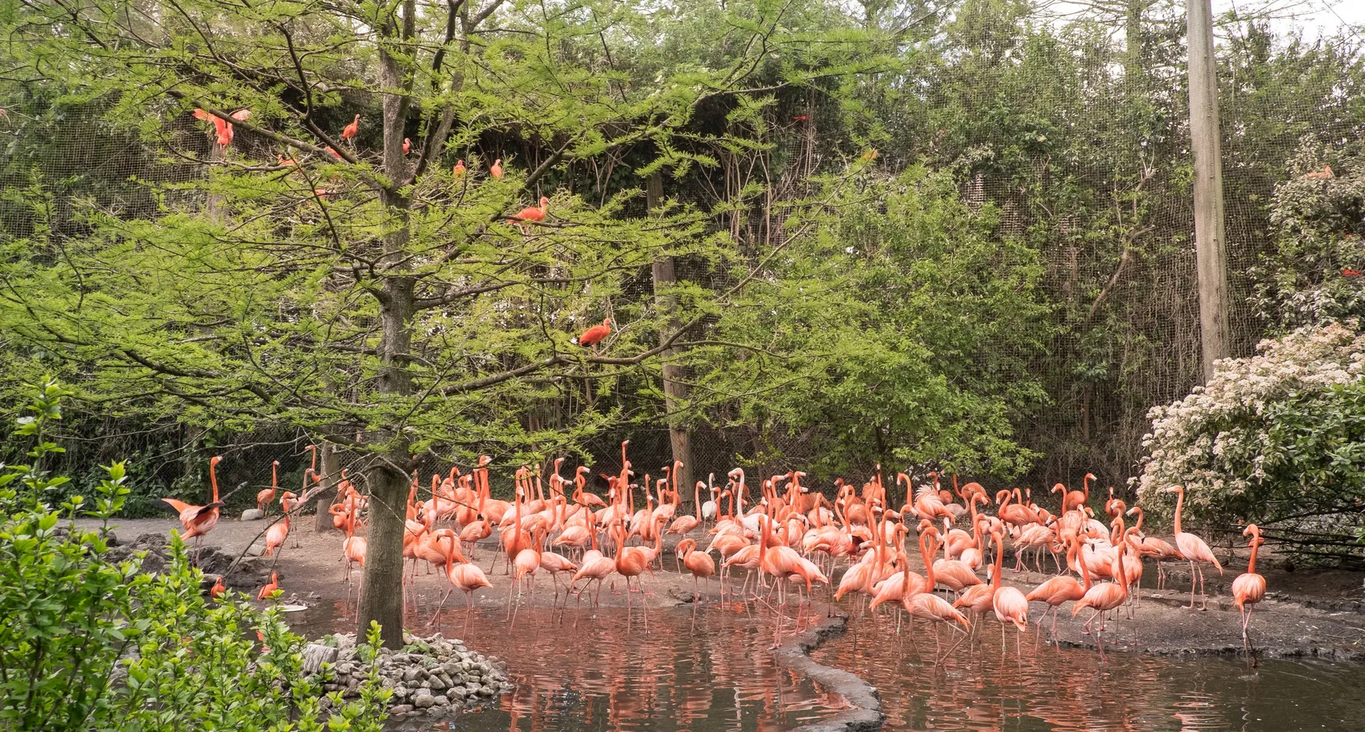 Hotel Avifauna
