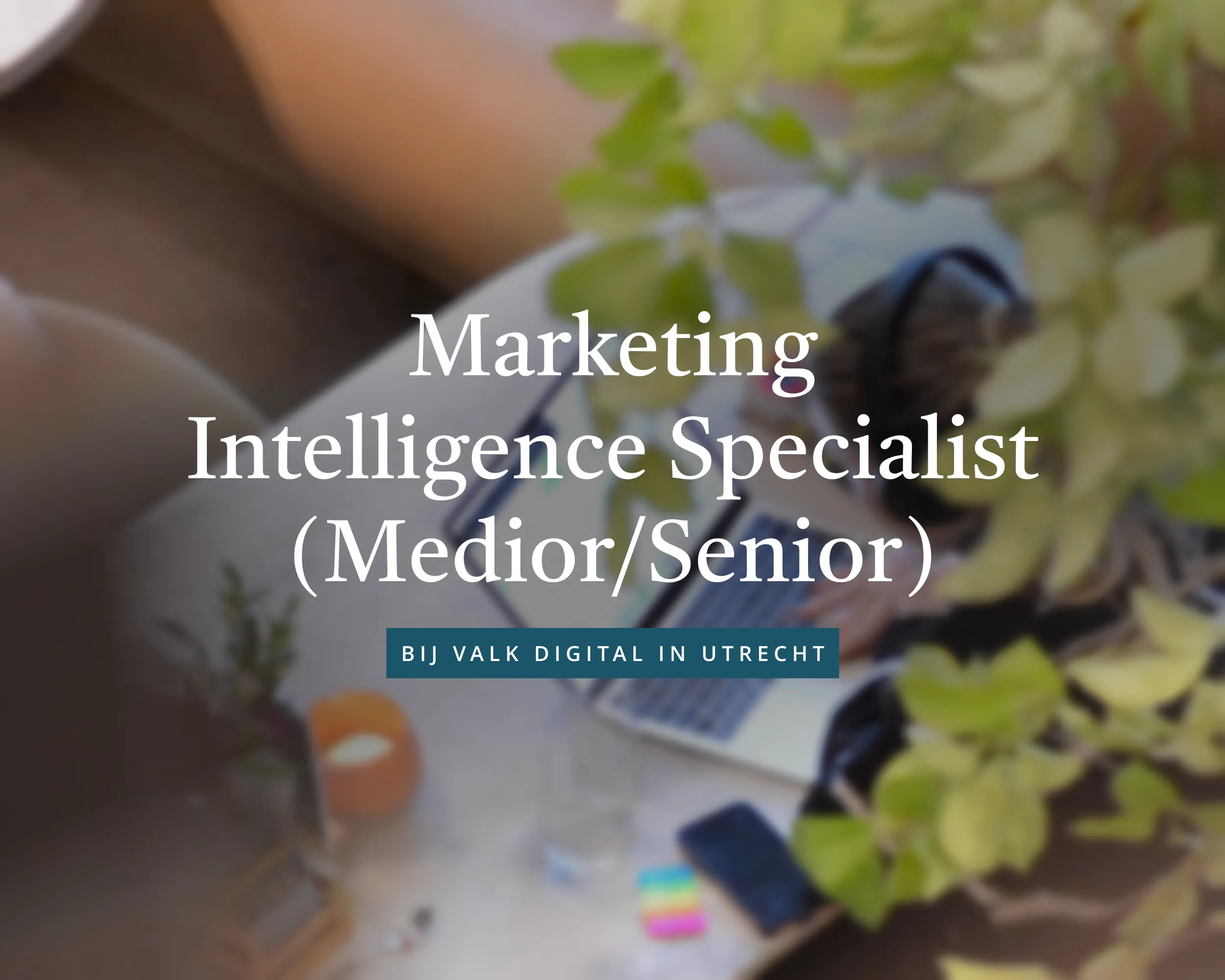 Marketing Intelligence & Automation Specialist