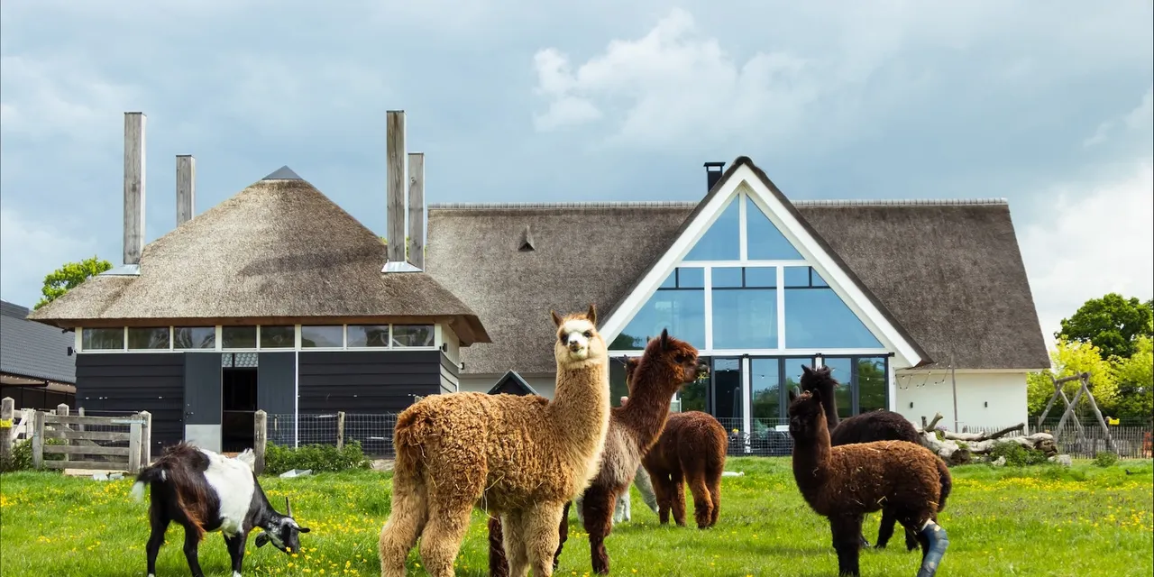 Allround Medewerker Boerderij (24 uur)